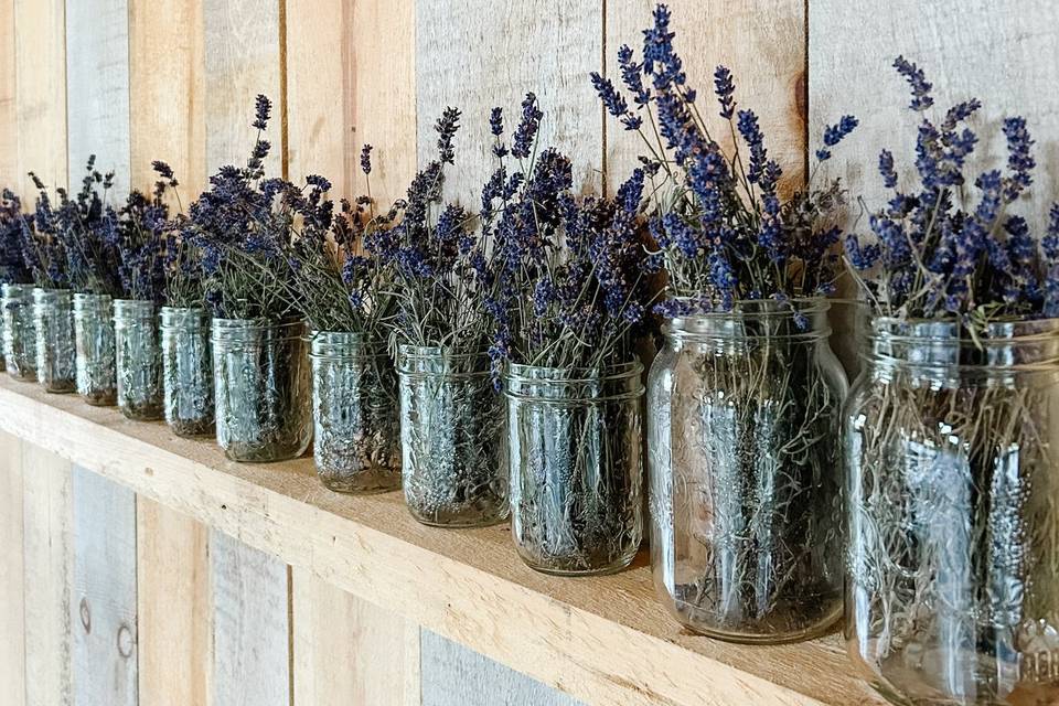 Lavender Harvested from Farm