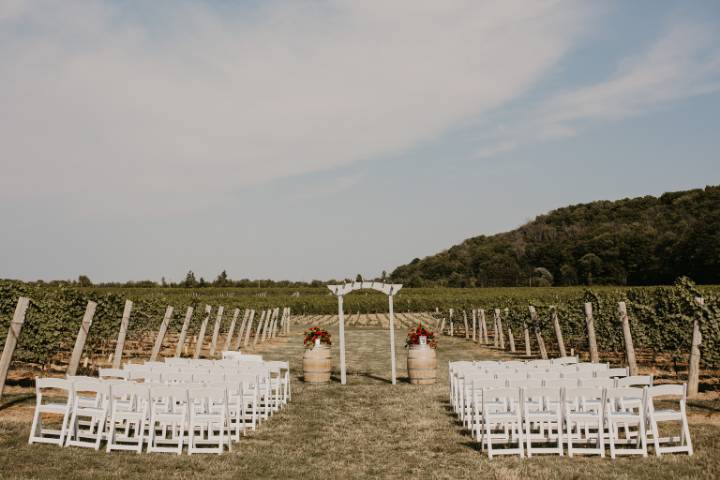 Cave Spring Vineyard Ceremony2