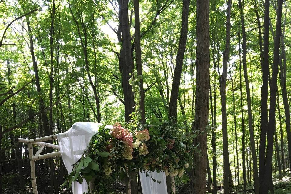 Say I do in the forest