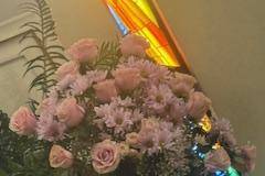 Floravue