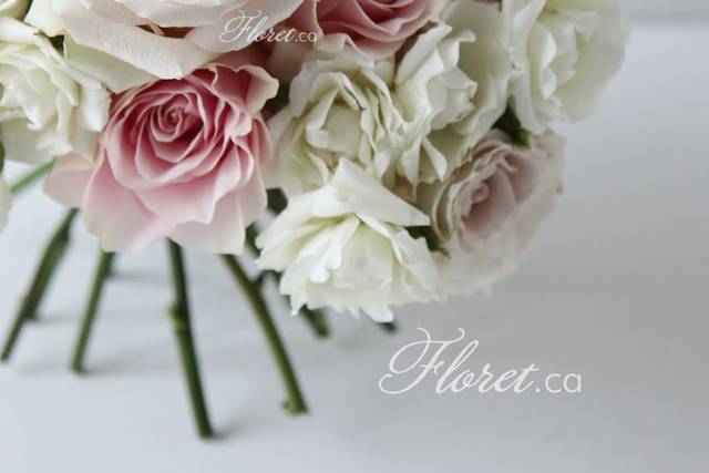 Floret - Flowers - Markham 