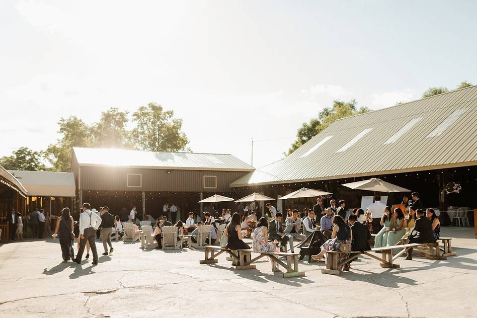 Courtyard for Cocktail Hour