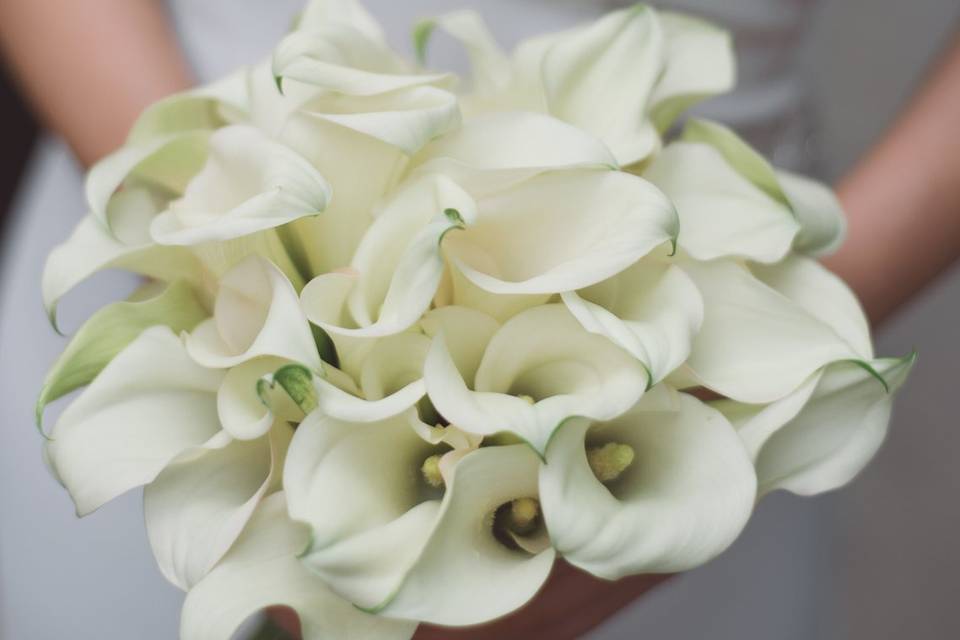 Calla bride