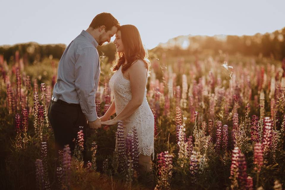 Romantic moment in a wildflower field