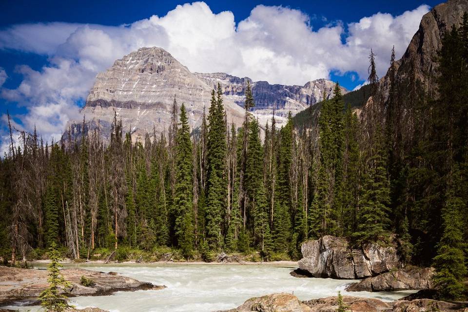 Natural Bridge Yoho wedding