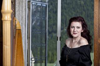 Tracy Sweet - Harpist 1