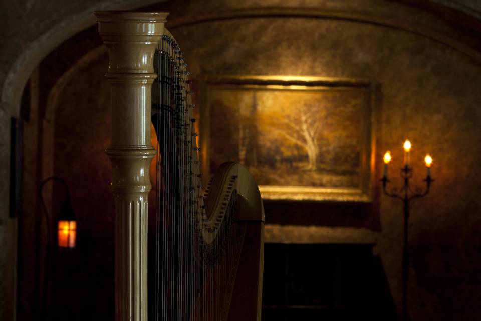 London Ontario Harpist