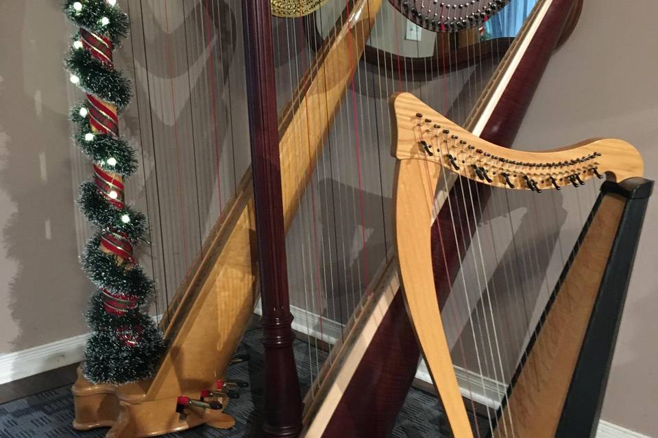 3 Harps for you to choose from