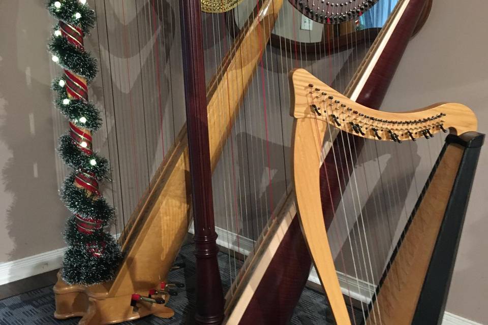 Tracy Sweet - Harpist