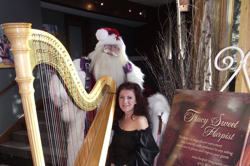 Tracy Sweet - Harpist