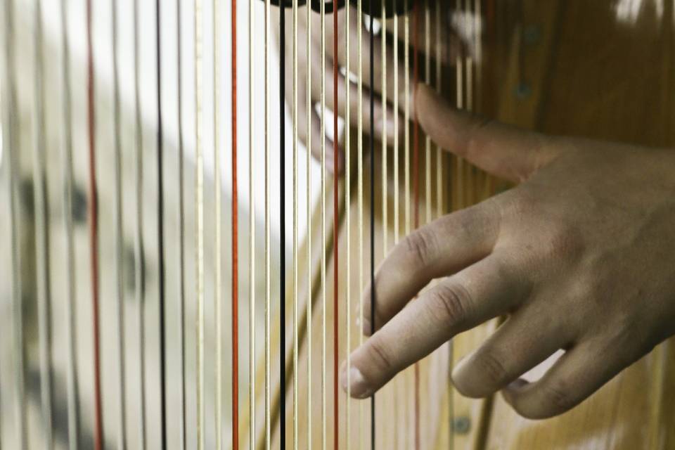 Ontario Harpist, Tracy Sweet
