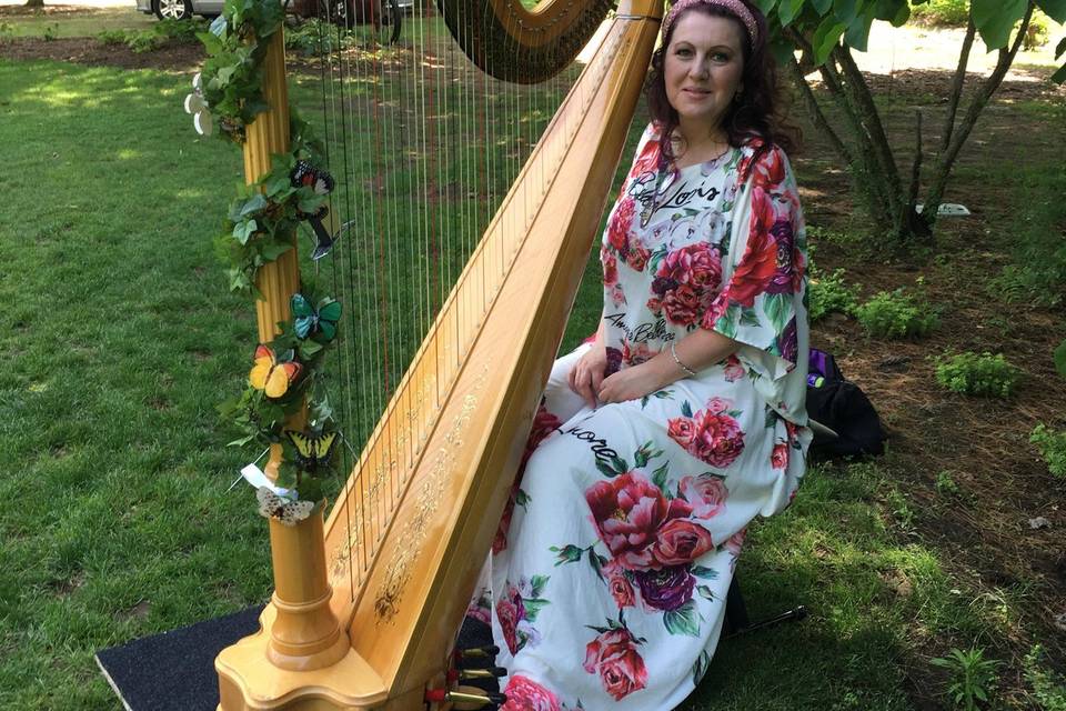 Wedding Harpist, Tracy Sweet
