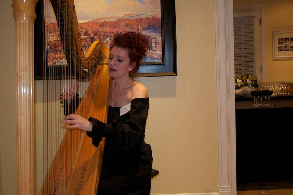 Canadian Harpist, Tracy Sweet