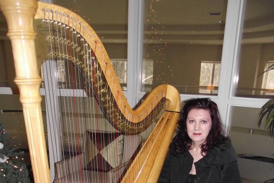 Canadian Harpist, Tracy Sweet
