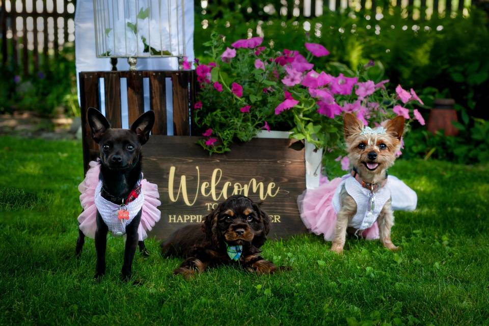 Ring Bearer & Flower Girl