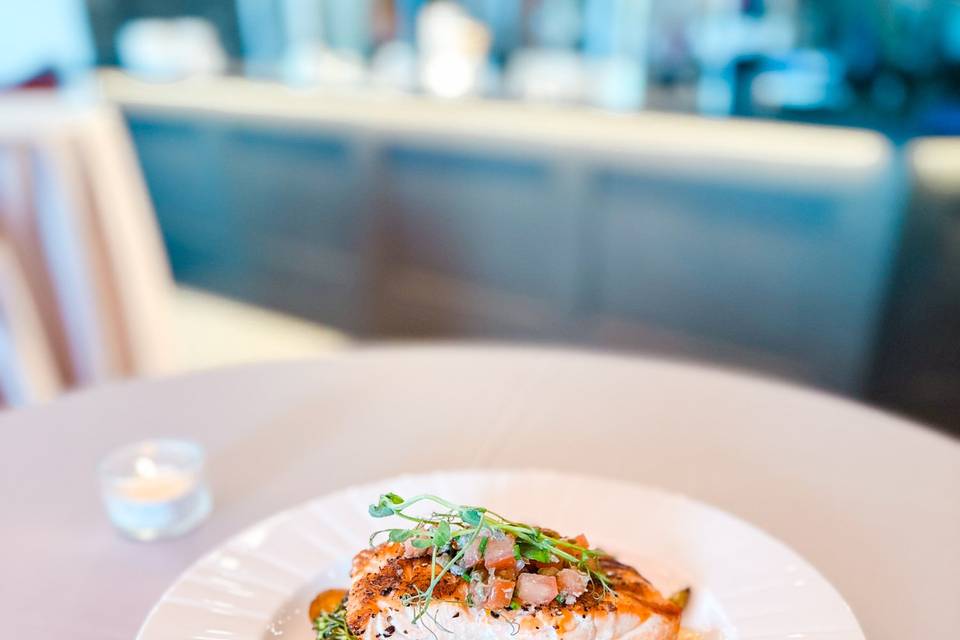 Salmon