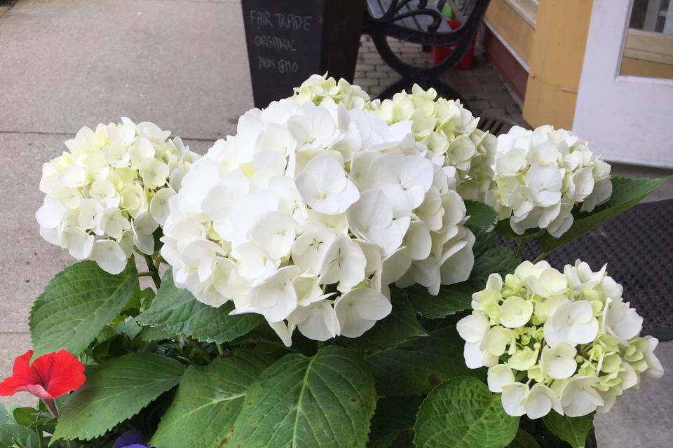 Altar flowers