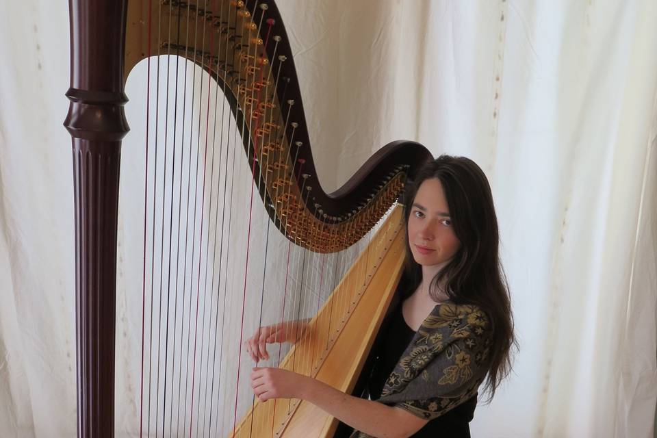 Playing the harp