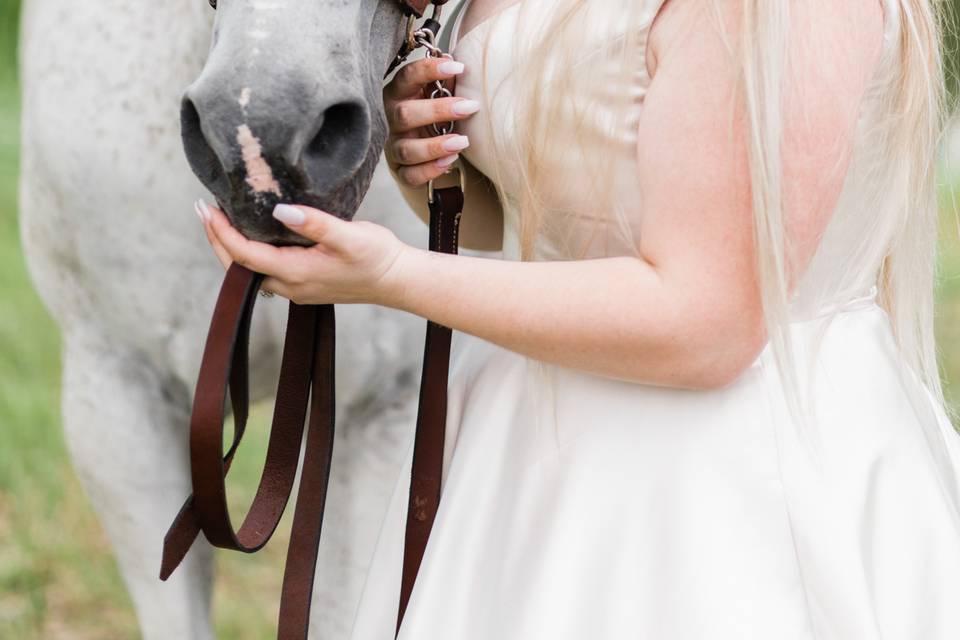 Bride & Groom, Wedding Photo