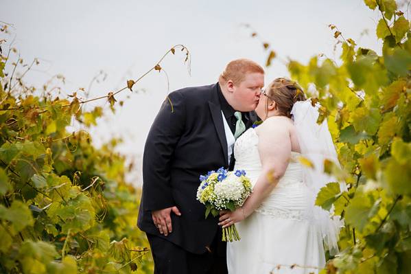 Holland Marsh Winery Wedding Ontario.jpg