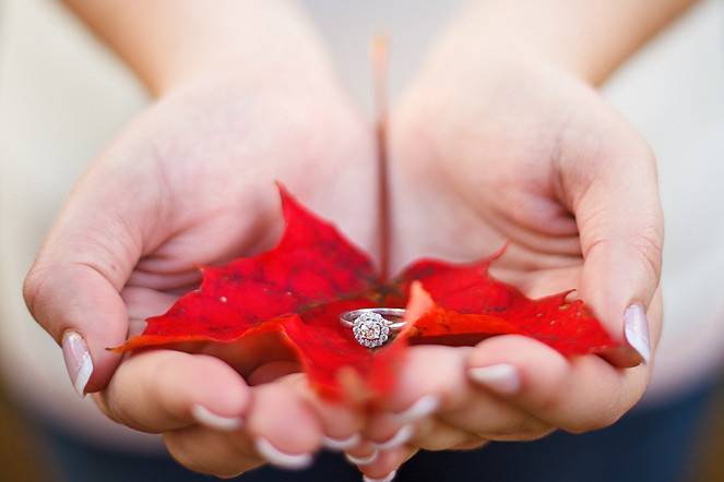 Outdoor Country Engagement Session Newcastle 2.jpg