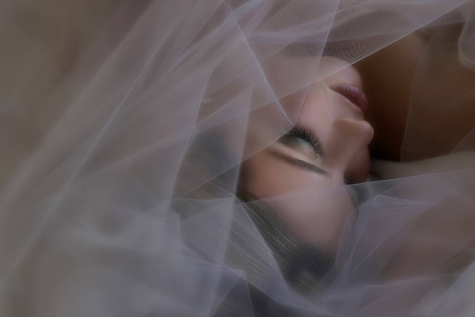 Horvath Photo-Sam Sciarrino