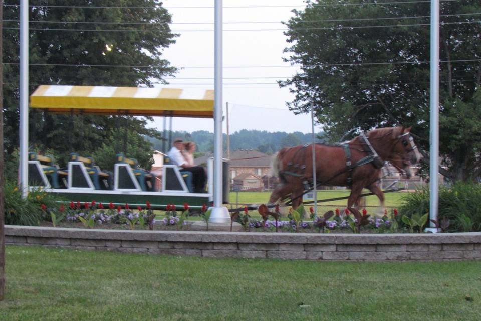 Evergreen Hill Farm