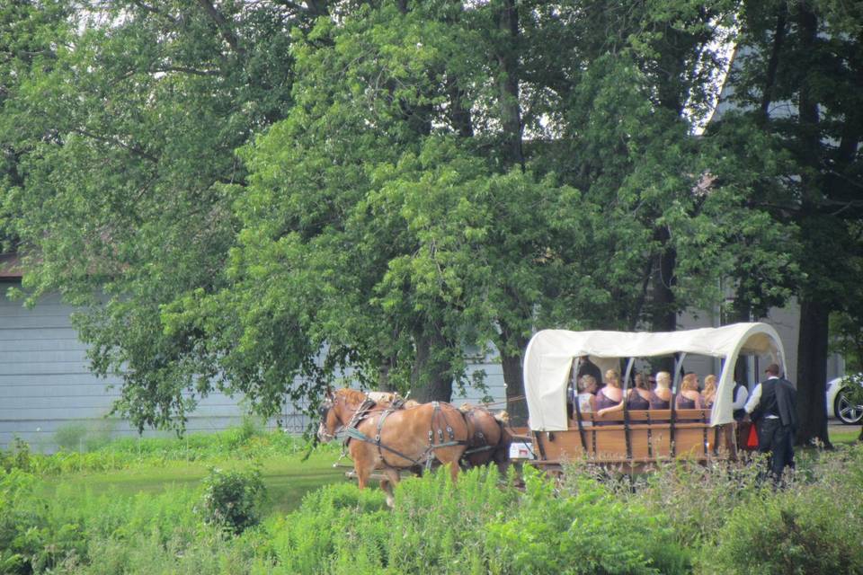 Covered wagon