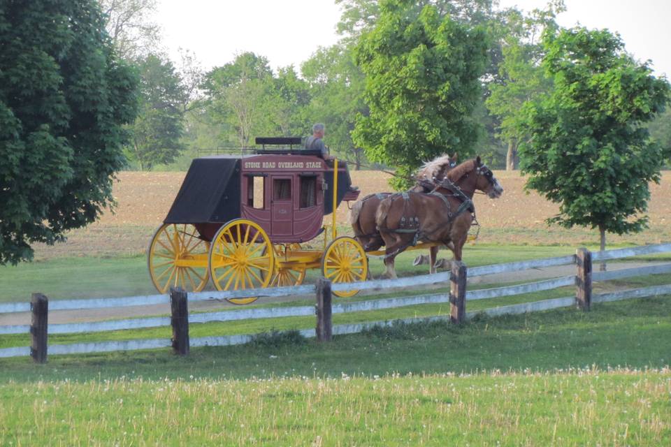 Evergreen Hill Farm