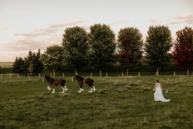 Olivia Rutledge Photography