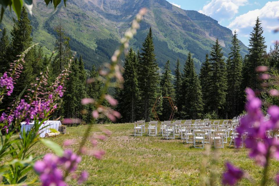 A look down the aisle