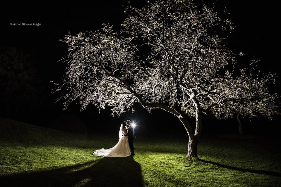 Couple under tree