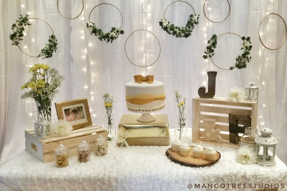 Rustic chic backdrop & setup