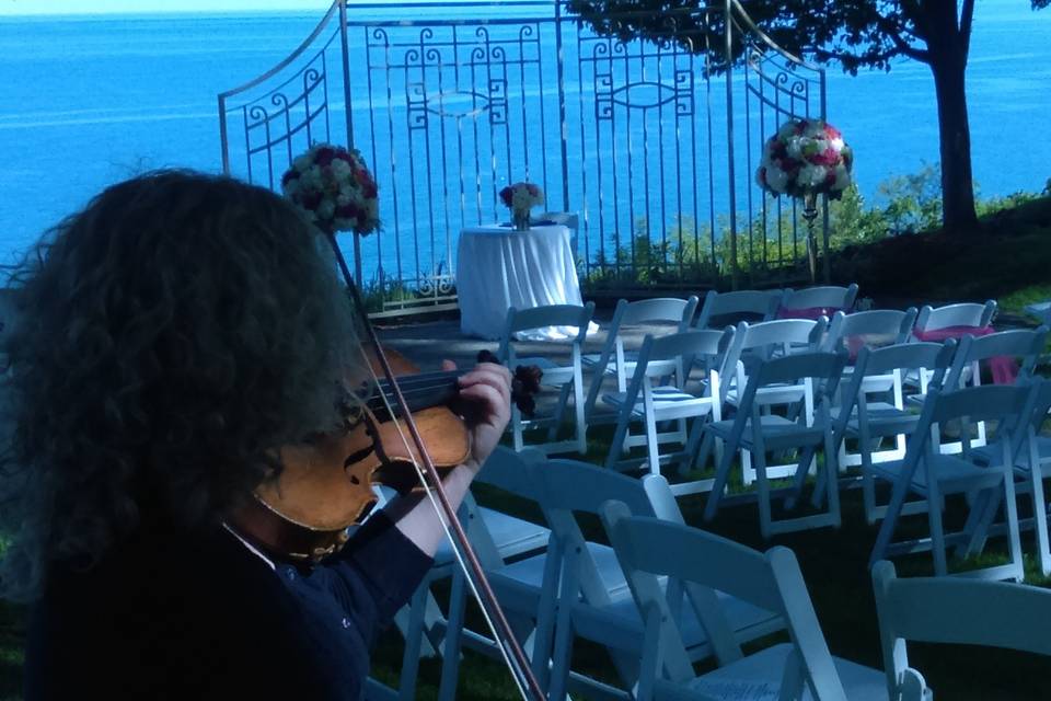 Strings for Wedding