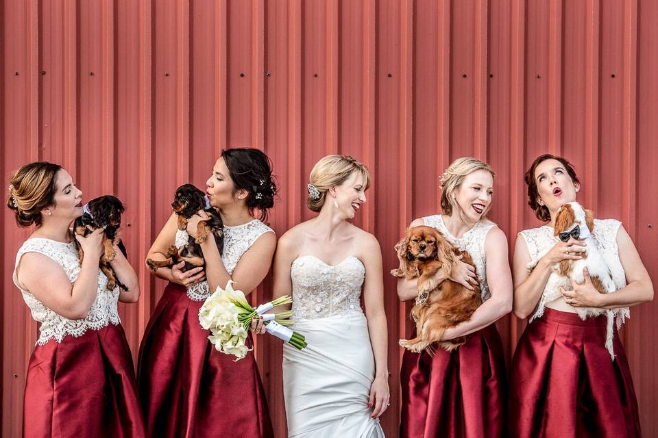 Puppies and bridesmaids
