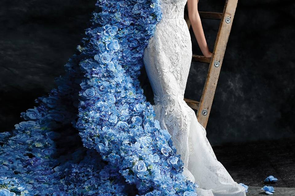 Wedluxe blue cape