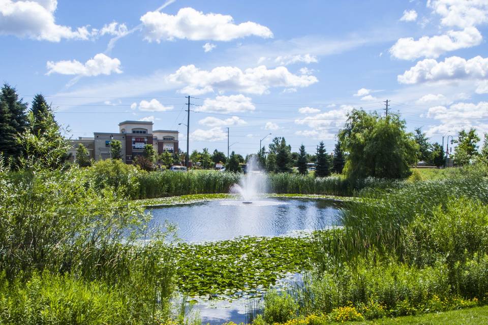 Water feature backdrop