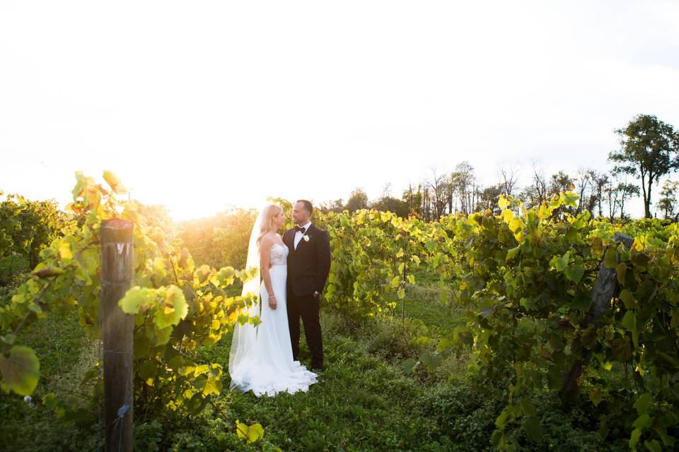 Vineyard wedding venue