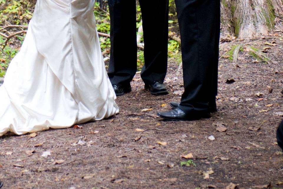 Bridal party in forest.jpg