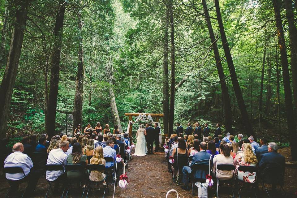 Ceremony in the trees