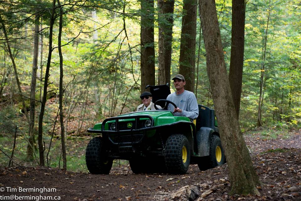 Couple in forest