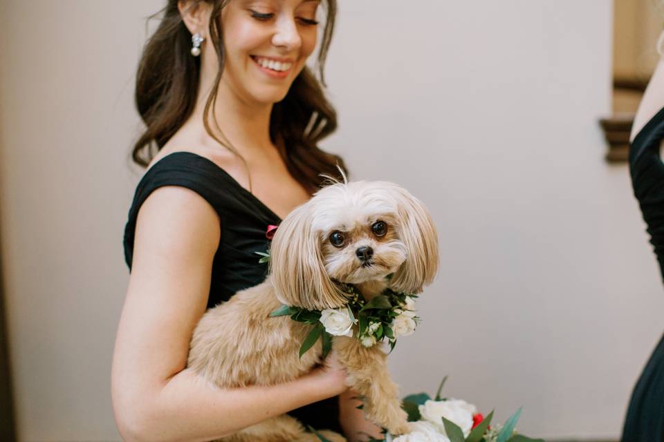 Dog Floral Collar