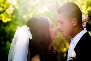 Arabic Wedding Video
