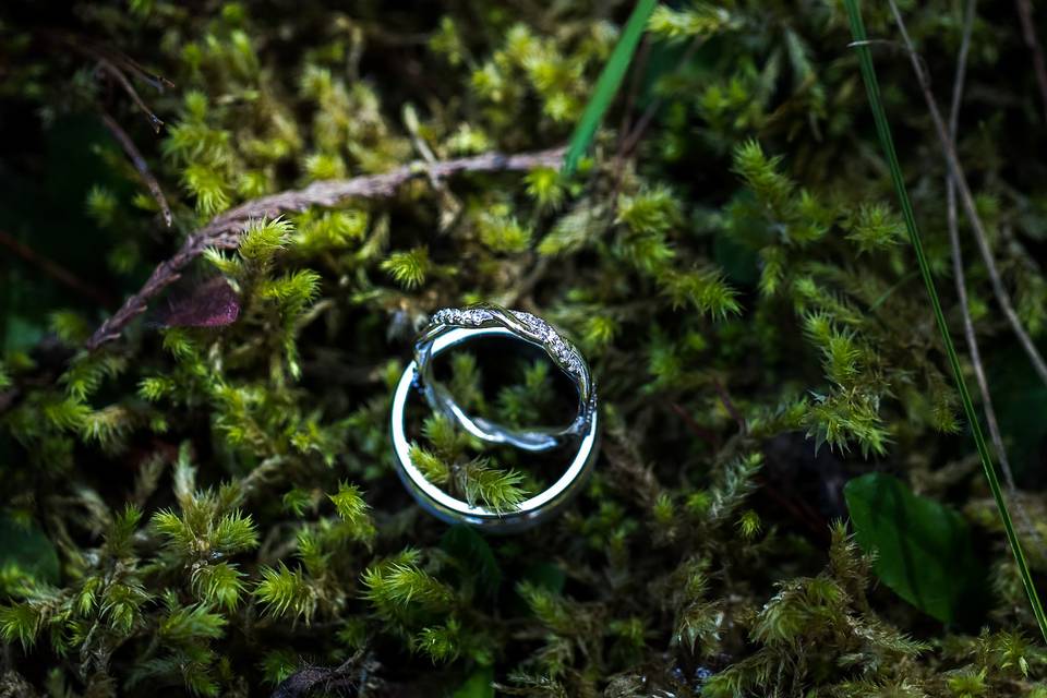 Forest rings