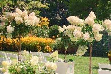 Hydrangea Aisle