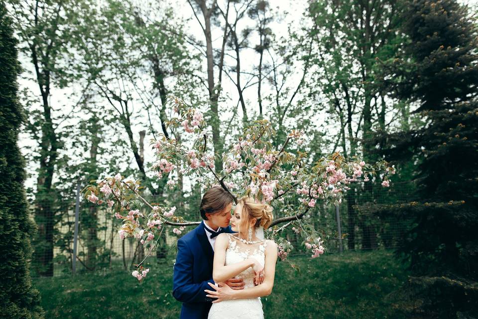 Flowering Trees