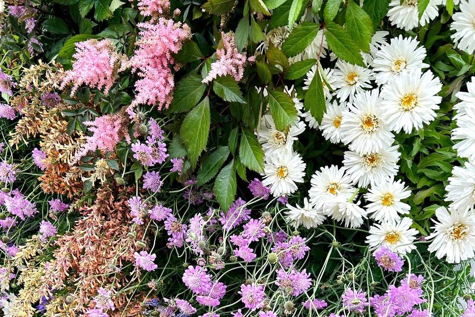 Flower Wall Close-Up