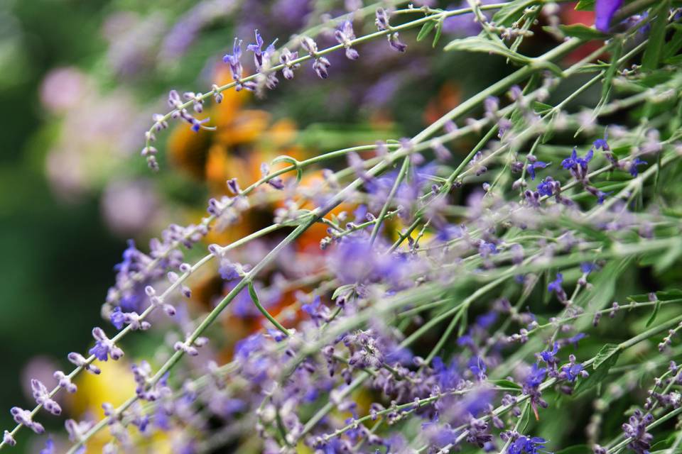 Flower Wall Close-Up