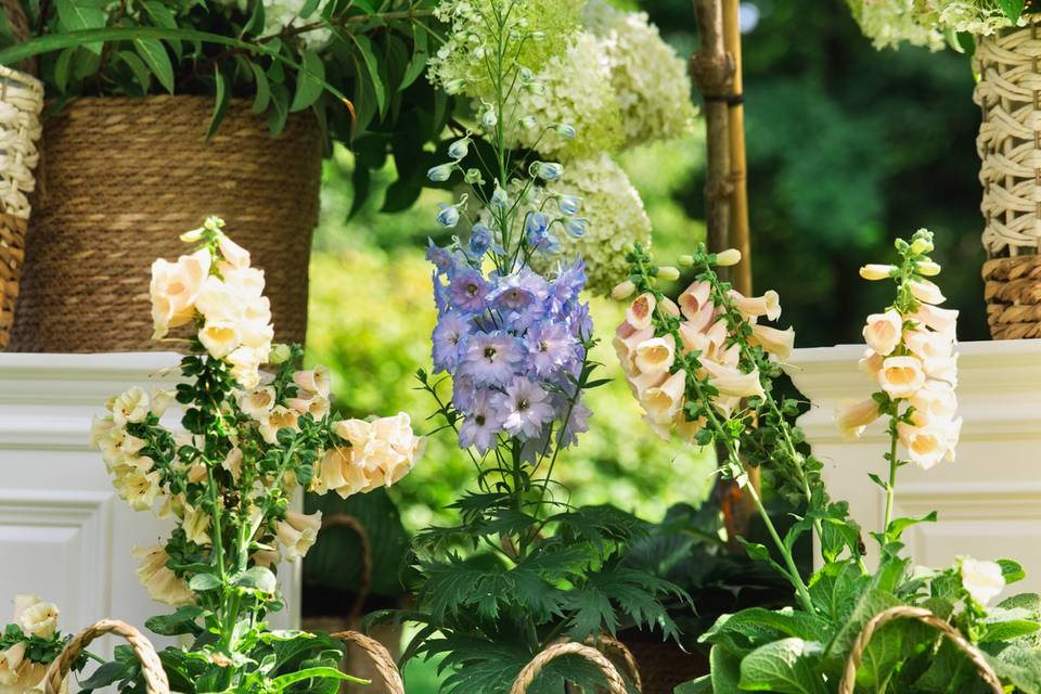 Accent Florals