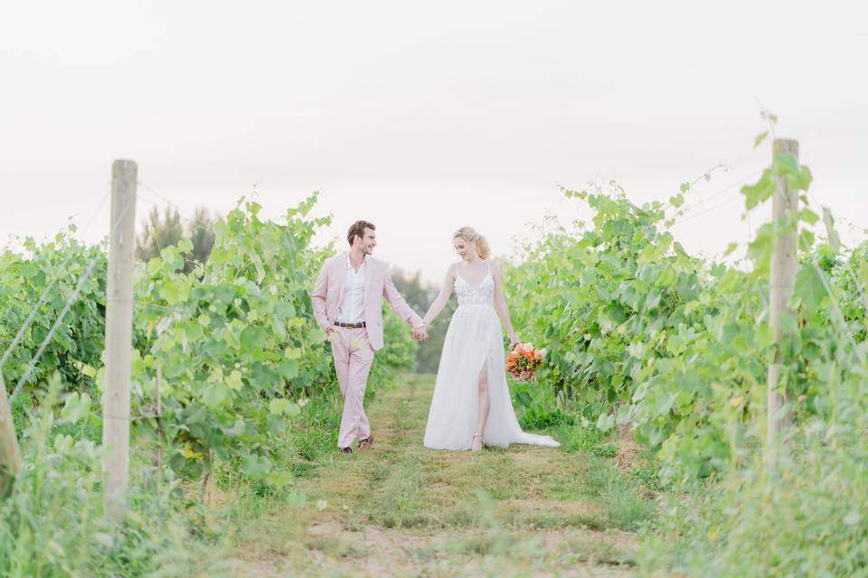 Walking through the vineyard